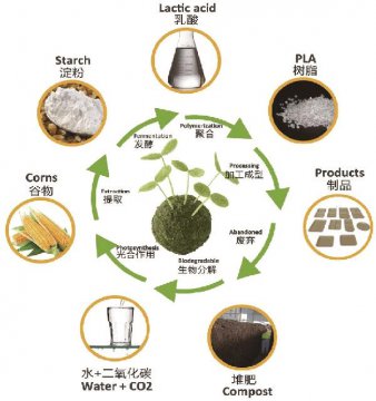 对于PLA塑料你了解多少呢?